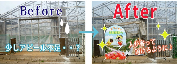 Before→After画像